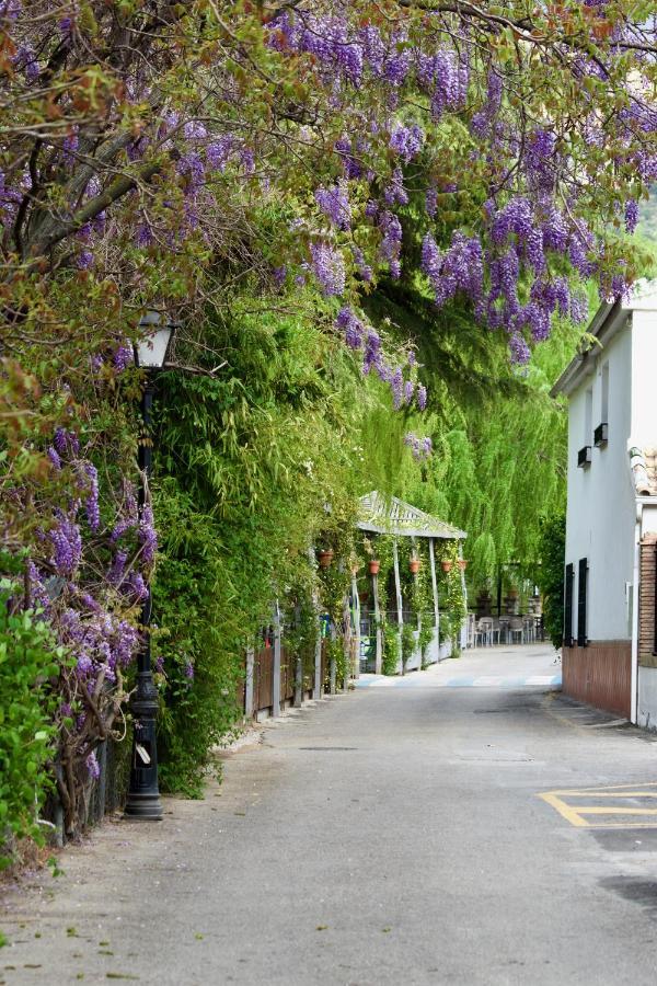 El Refugio 호텔 피노스제닐 외부 사진